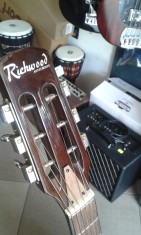 Richwood RM-70 NT akustyczna gitara w stylu hot club jazz