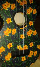 Ever Play WU-21F9 ukulele sopranowe z poliwęglanu